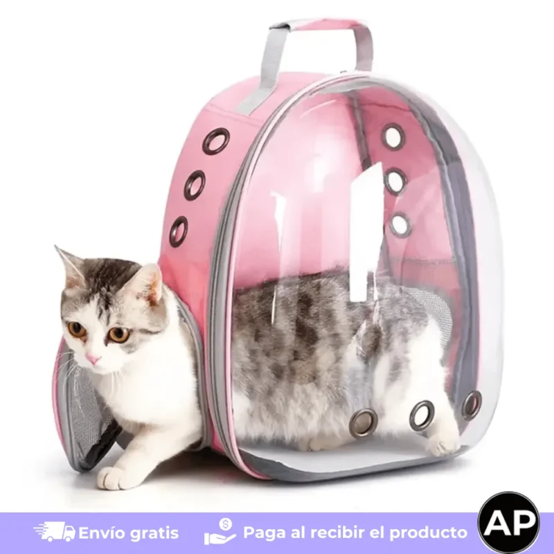 bolso-porta-mascotas